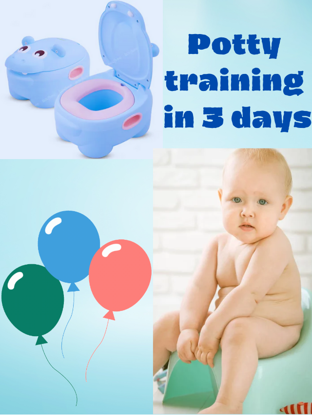 Potty  training in 3 days